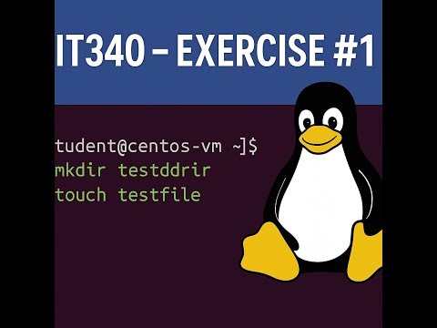 Basic Terminal with vApp | Exercise #1 | IT340