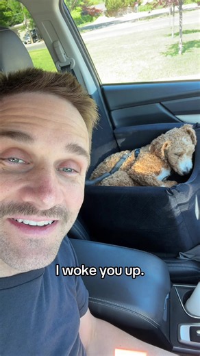 Scott Smith & Rocket 🐶 (@scottsmithstuff)’s videos with original sound - Scott Smith & Rocket 🐶