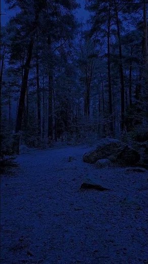 “Snow Falling ❄️ Peaceful Winter Short Video”