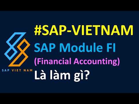 FI (1) - SAP Module FI (Financial Accounting) là làm gì?