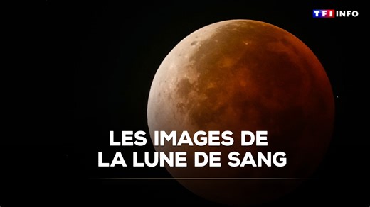 Grâce à un phénomène d'alignement des planètes, la Lune a rougit dans la nuit de dimanche à lundi. Laissant un spectacle très beau dans le ciel. | TF1 INFO