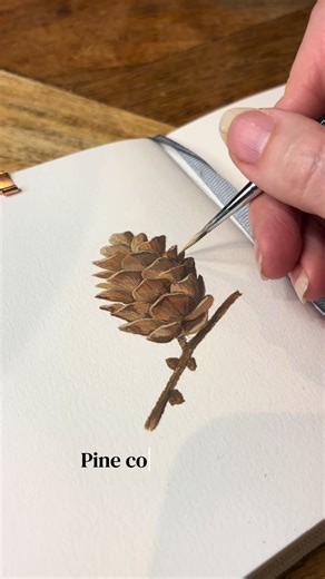 Pine Cone Gouache Painting Tutorial