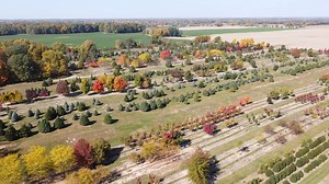 Although we have plenty of trees available at our farm, they do not need to be selected from there. We can pull them from any property as long as permission is granted or we can move them around on your property. | Fox Tree Farm