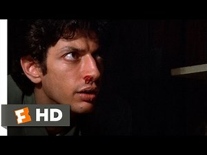 Invasion of the Body Snatchers (2/12) Movie CLIP - Examining a Pod Body (1978) HD