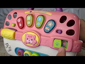 Vtech Cat/Kitten Carrier Toy