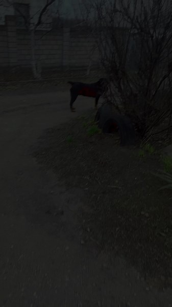 Відео користувача fgcv (@fgcv791) з композицією «оригинальный звук - fgcv»