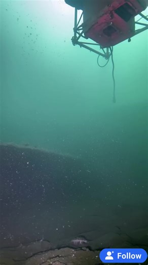 Mysteries of the Deep Ocean trên TikTok