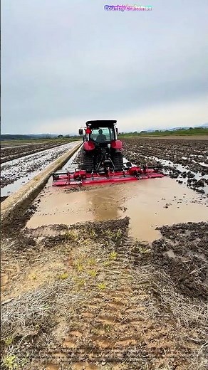 Tilling the Fields: How Modern Machinery Transforms Farming Efficiency