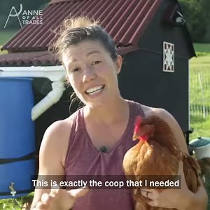 41K views · 1.1K reactions | Best Chicken Coop Ever? Tiny Barn Chicken Coop!  | Anne of All Trades | Facebook