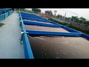 Biofloc fish farming in Bangladesh