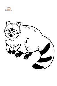 Raccoon coloring page ♥ Color Online for Free!