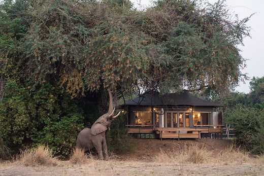 Chikwenya Camp | Zimbabwe Safaris | Wilderness