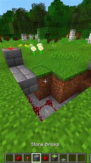 Secret Door In Minecraft