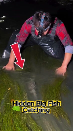 Hidden Big Fish Catching