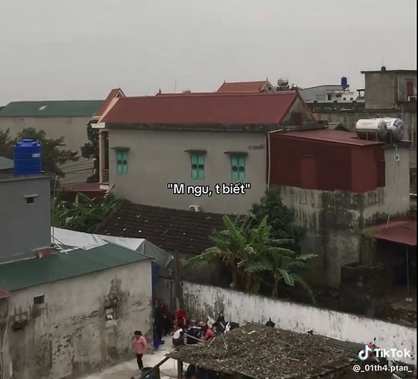 #xuhuong #vairal #abcxyz #inlove