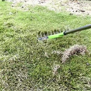 Thatch Rake, 12.8 Inch Wide Lawn Thatching Rake for Cleaning Dead Grass, Efficient Steel Metal Grass Rake with Handle, Yard Garden Soil Rake, 52.8 Inch Length