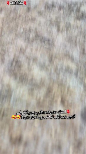 How to Make Delicious Bread: Tips from Experts