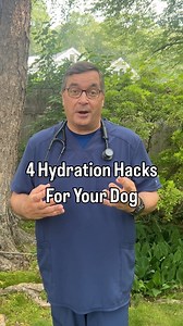 5.1K views · 3K reactions | With hot temps on the horizon, it becomes even more important to help your dog stay hydrated.☀️ Dr. Kris Hansen, our veterinarian, breaks down his four favorite at-home and on-the-go hydration hacks for dogs. Have you tried any of these? | Earth Animal | Facebook