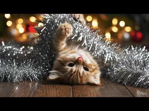 Kitten s Tinsel Tangle Video