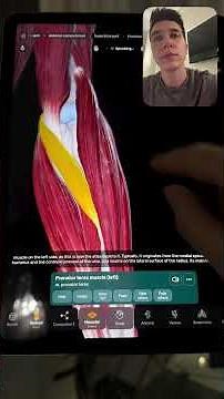 🤖🧠 Easy Anatomy has an AI anatomy tutor directly in 3D atlas