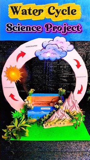 Water Cycle Project #diy #project #schoolproject #watercycle #trending
