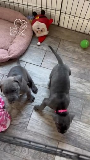 128 reactions · 84 comments | Ever wonder what goes on behind the...