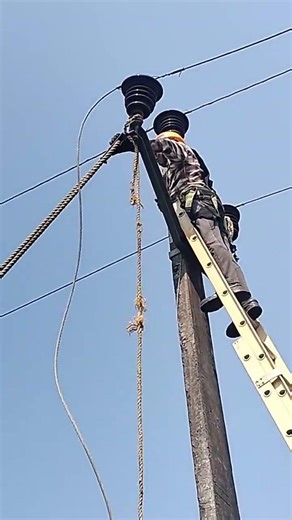 #stringing #treefollen #transmission #33kv #shortvideo #electrical