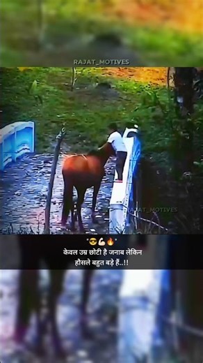 उम्र छोटी है लेकिन हौसले बड़े है..🗿 #create #motivational #FYP #LFL #like #attitudestatus #shyari