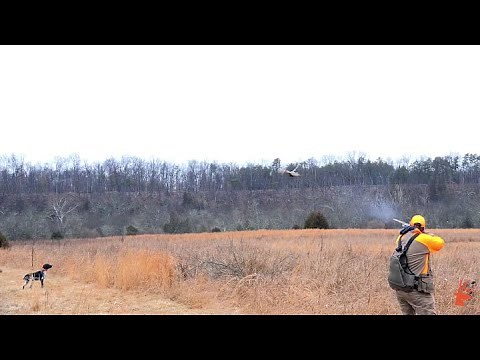 New for 2021: Benelli Super Black Eagle 3 in 20 Gauge