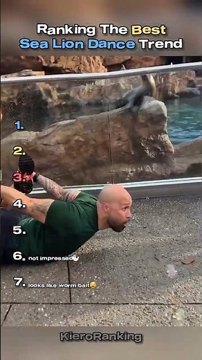 Ranking The Best Sea Lion Dance Trend #sealion #funnydance #shorts