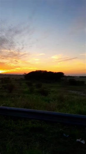 Exploring the Chevrolet S10: Features and Performance