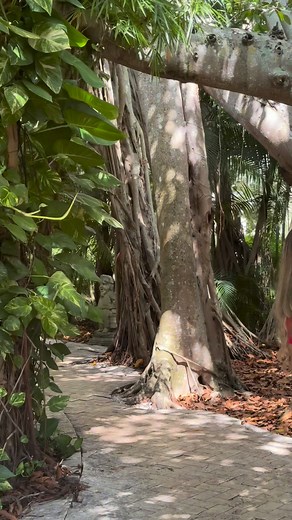 1K views · 22 reactions | Best museums in Florida?? | Adara Nyberg | Facebook