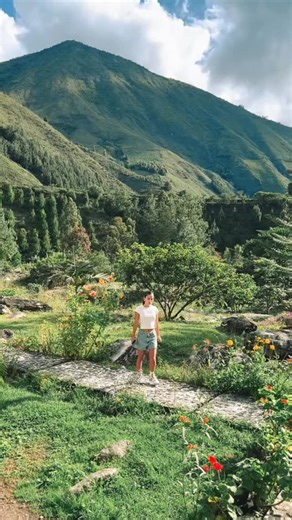 💧 Catarata Ananá – Oxapampa, Pasco La Catarata Ananá es uno de esos lugares que todavía se sienten vírgenes, auténticos y poco intervenidos, ideal si te gusta el turismo de naturaleza real 🌿✨. 📍 Ubicación Se encuentra en la provincia de Oxapampa, región Pasco, dentro del entorno amazónico de la Selva Central. El acceso suele darse por zonas rurales, por lo que se recomienda ir con guía local. 💦 Características • Catarata de varios metros de caída, con agua cristalina. • Rodeada de bosque húm