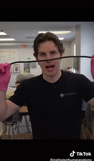 Explore the Fascinating World of Human Anatomy with Our YouTube Channel!