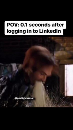 A crazy place #linkedin #memes #workmeme #workmemes #funny #memesfunny #meme | Paddy Jobsman