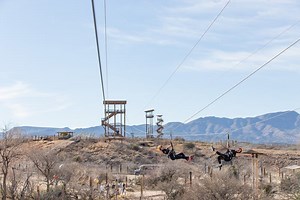 Photos | Predator Zip Lines