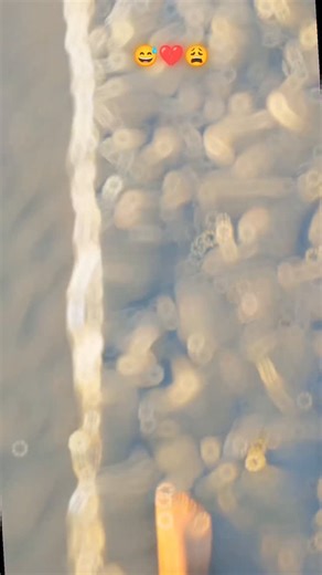 hello priya | 😩💔😅.. | Instagram