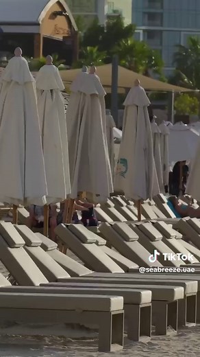 user53929649279 على TikTok