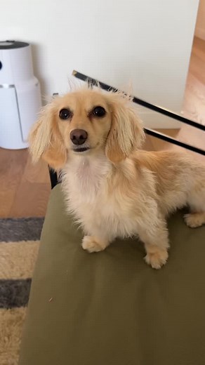 3.5K views · 67 reactions | NOT THE ANT HAHAHAHAHHA | Christina Kirkman | Facebook