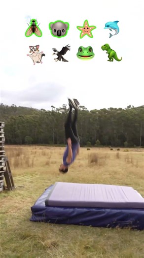 How different animals take fall damage