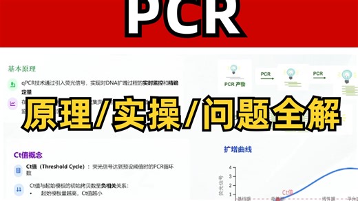 PCR实验保姆级全攻略！从原理到避坑，一篇搞定！