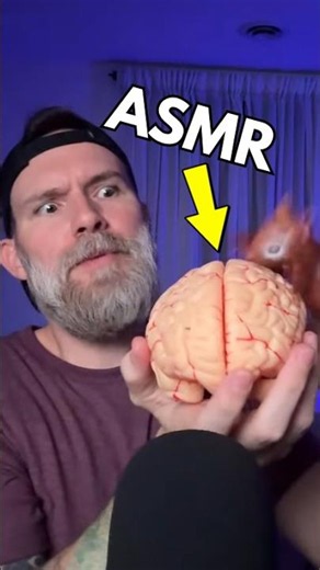 ASMR this is YOUR Brain on Tingles 🧠