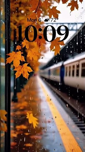 🌸 Make your screen stunning with our wallpapers.