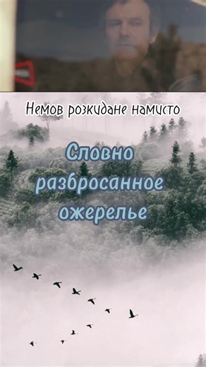 #ОкеанЕльзи #настроение #музыка #переводыпесен