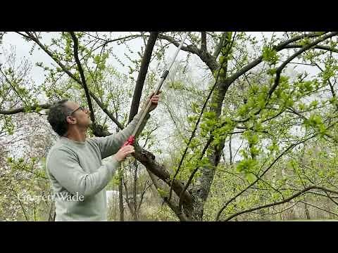 Long Reach Pruner | Garrett Wade