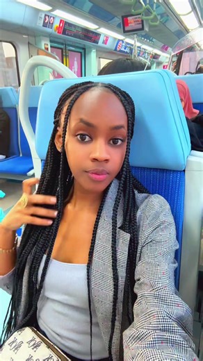 Stunning Train Window Views in Dubai