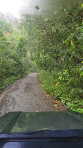 Le Belvédère vous pris de bien vouloir excuser sa fermeture sécuritaire . En effet, en raison de notre durable temps pluvieu, du nettoyage de la route par le territoire que je remerci car déjà là.! Nous reouvrirons peut être demain. En attendant, quelque petites images du pourquoi et surtout du comment . A bientôt tout la haut 😀 | Le Belvédère