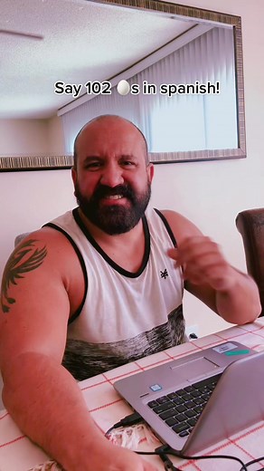 Playful Moments with Chilean Bears