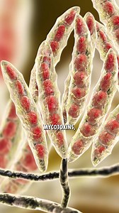 1.3M views · 4.4K reactions | Get your FREE trial! “The best coffee...