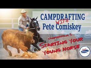 How To Start A Young Campdraft Horse With Pete Comiskey